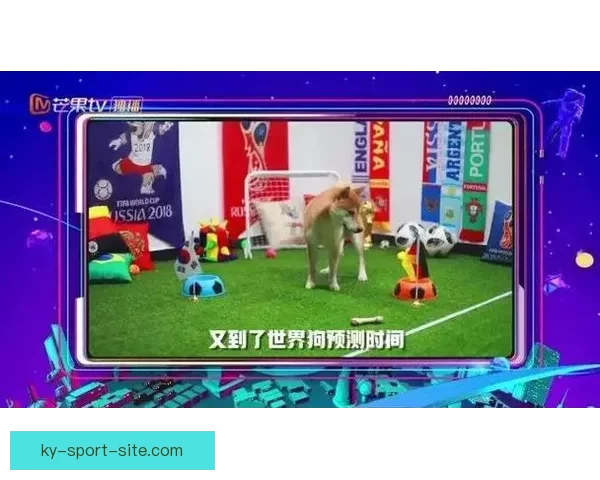 围绕世界杯竞猜游戏打造全民参与的趣味互动与智慧博弈盛宴 围绕世界杯竞猜游戏打造全民参与的趣味互动与智慧博弈盛宴
